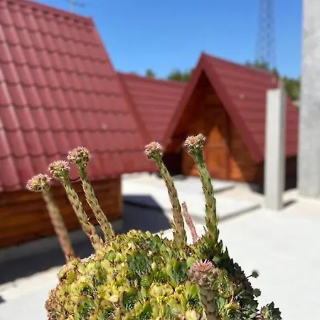 Bungalows Kisin Holiday home *